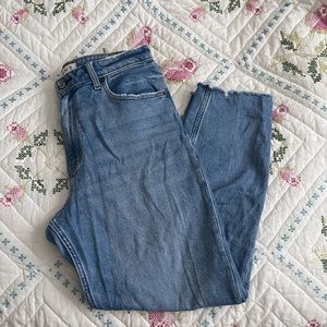 Abercrombie and Fitch Curve Love jeans